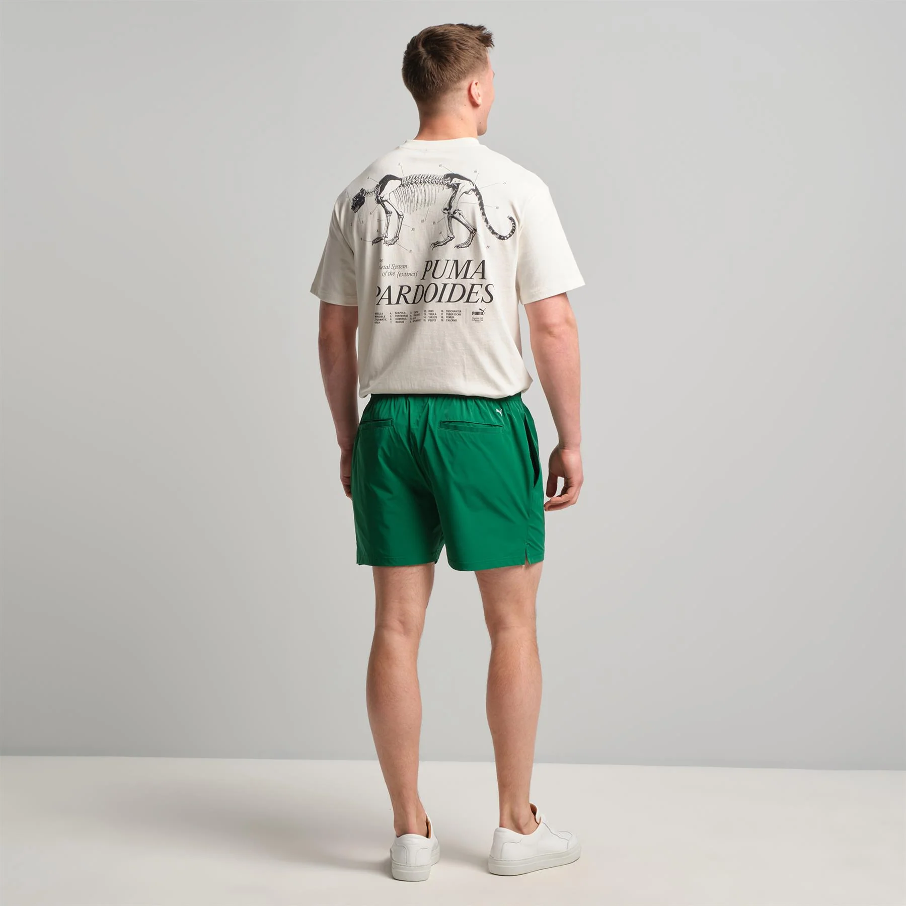 30904 Above the Knee Shorts Lusso Green - Image 5